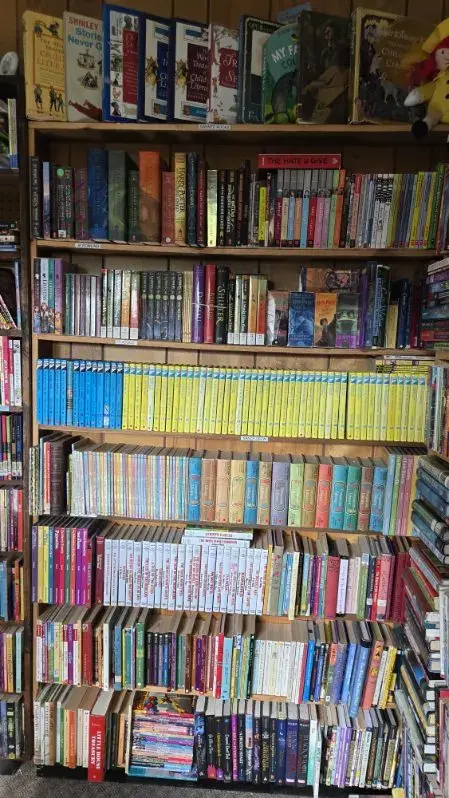 Tall wooden shelving section dedicated to children's chapter books organised by series