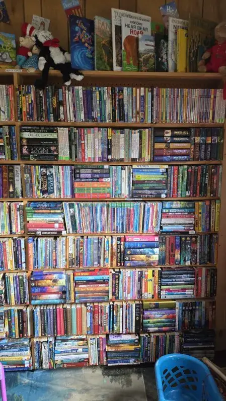 Shelves packed with middle-grade chapter books sorted by series and genre