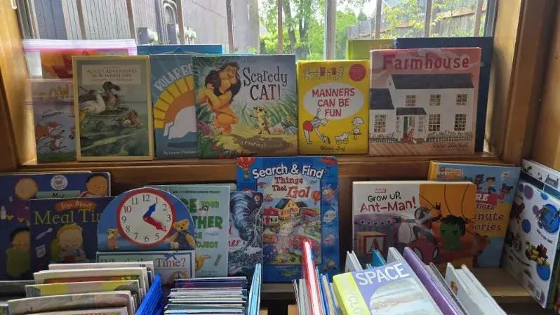 Picture books displayed face-out along a sunny window shelf in the children's room