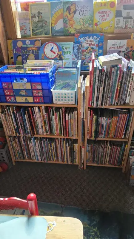 Dense shelves of young adult novels, fantasy series, and graphic novel collections